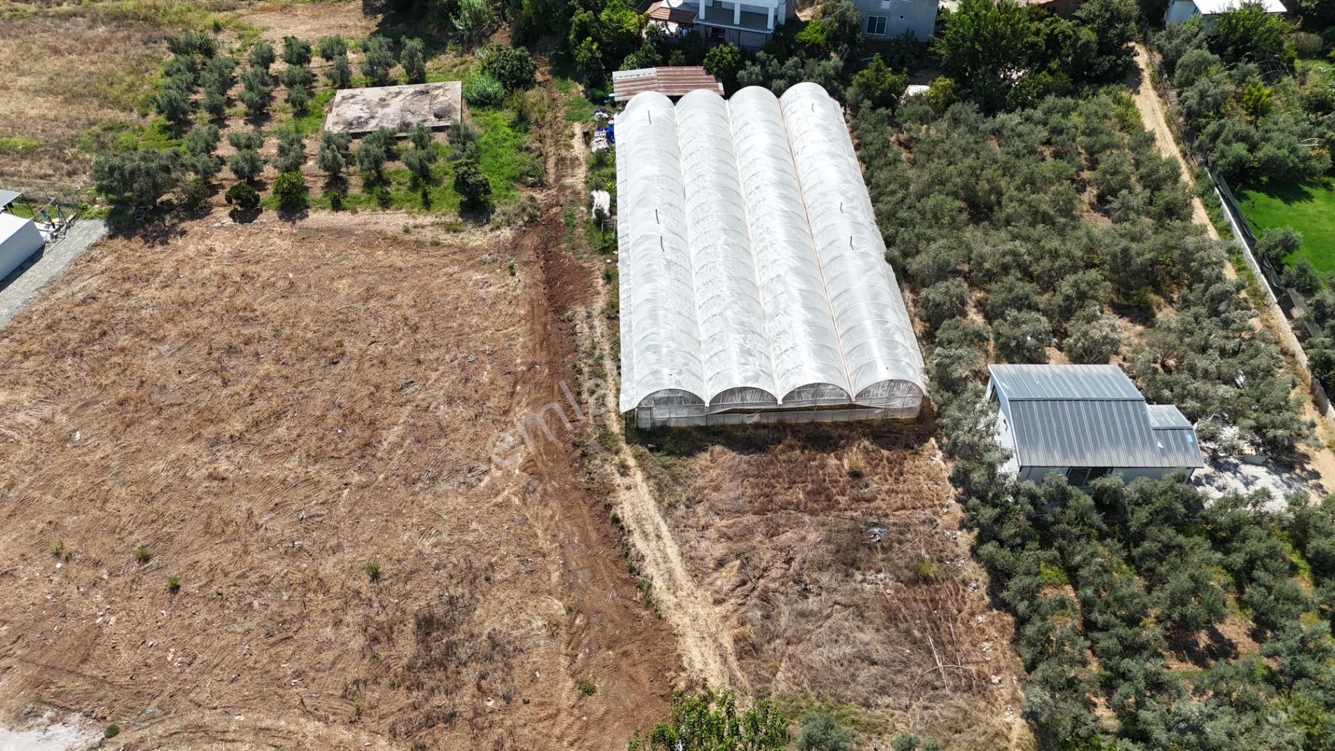 Goldhouse Dan Satılık Tarla Yanıklar Da Rızai Taksim Yapılmış Fırsat - Görsel 8