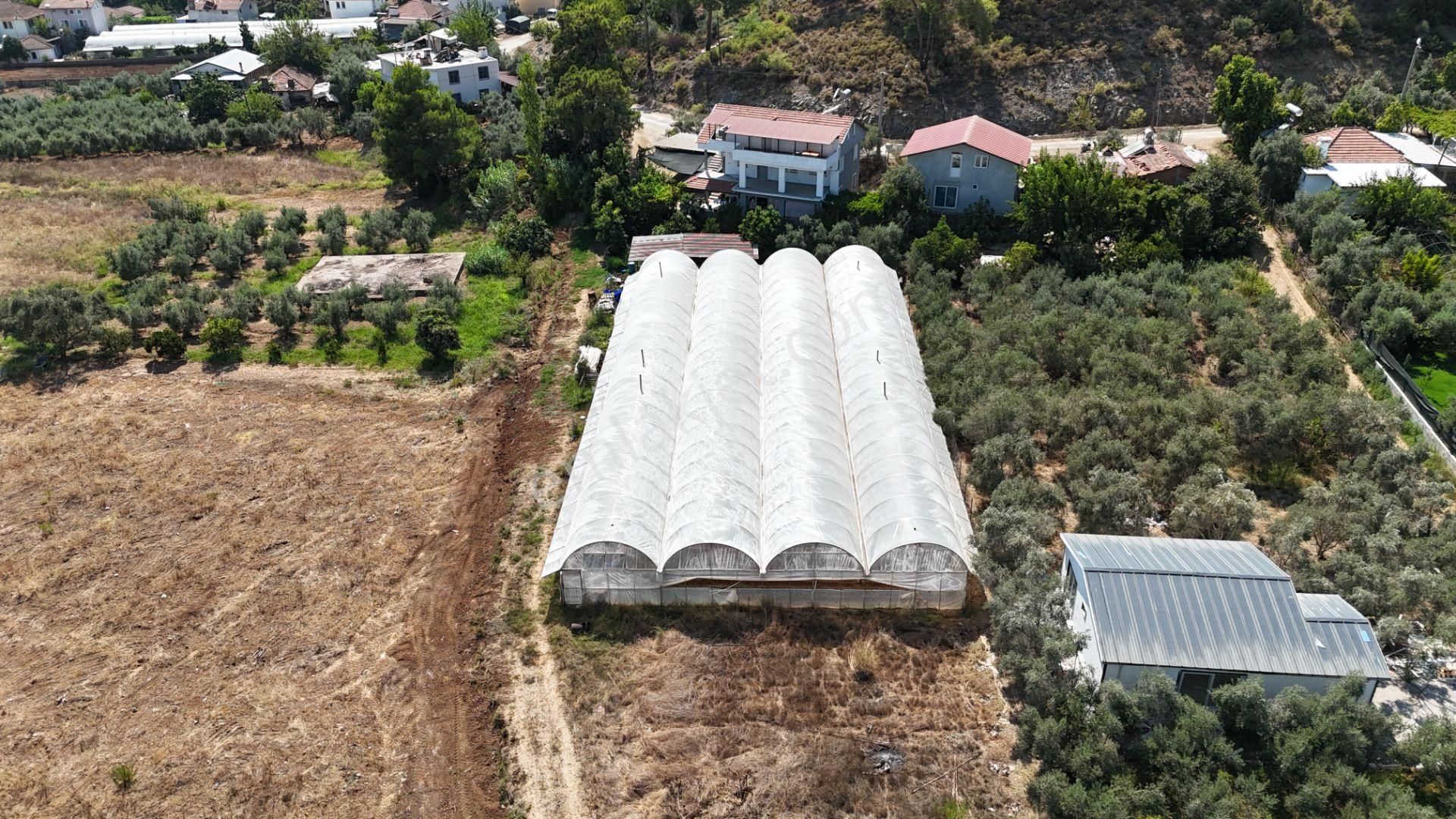 Goldhouse Dan Satılık Tarla Yanıklar Da Rızai Taksim Yapılmış Fırsat - Görsel 9