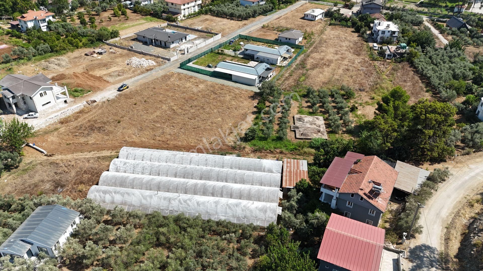 Goldhouse Dan Satılık Tarla Yanıklar Da Rızai Taksim Yapılmış Fırsat - Görsel 4