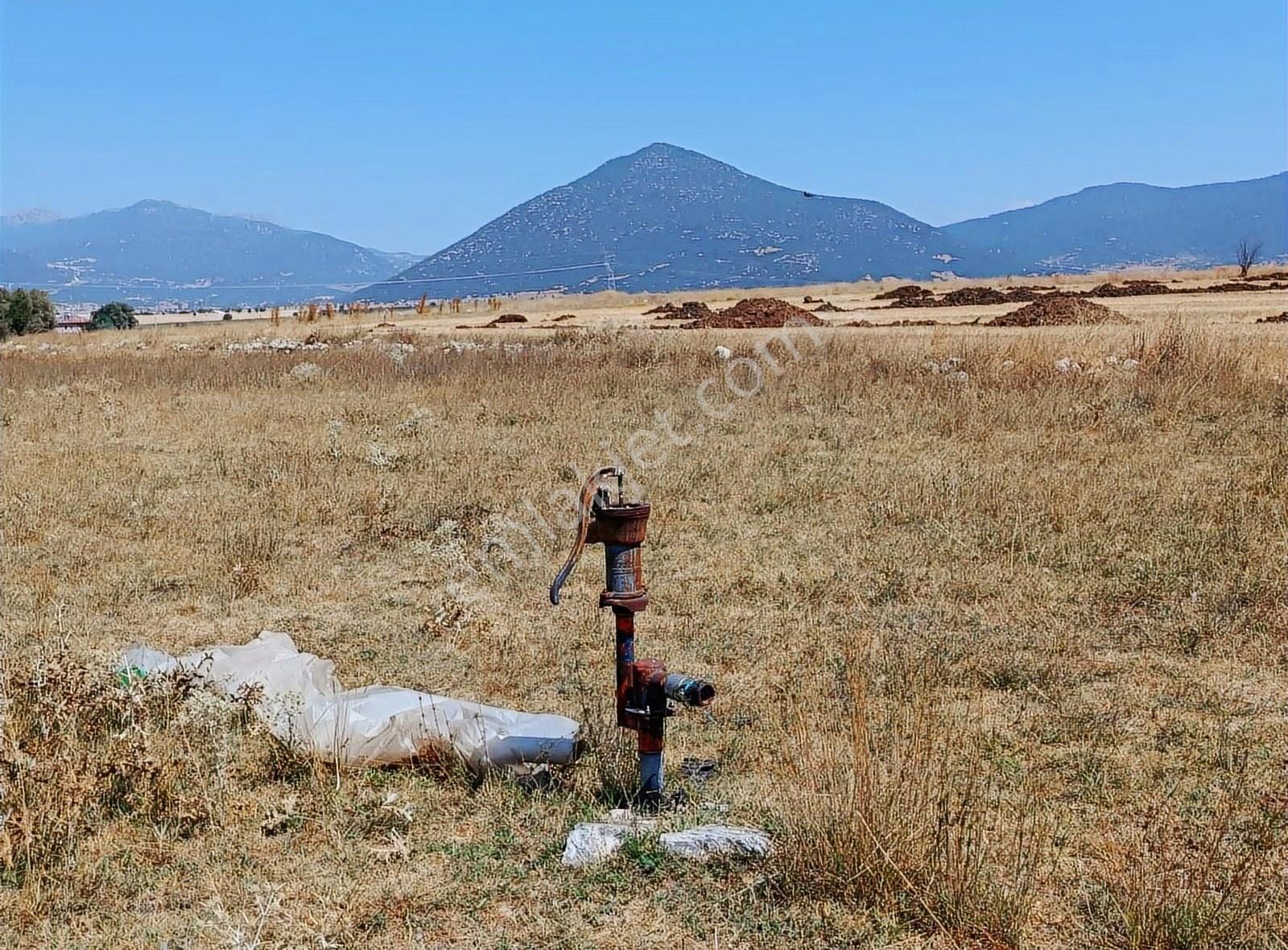 Yayla Seki Mah. Ceylan( Ana Yola Çok Yakın ) Satılık Tarla - Görsel 17