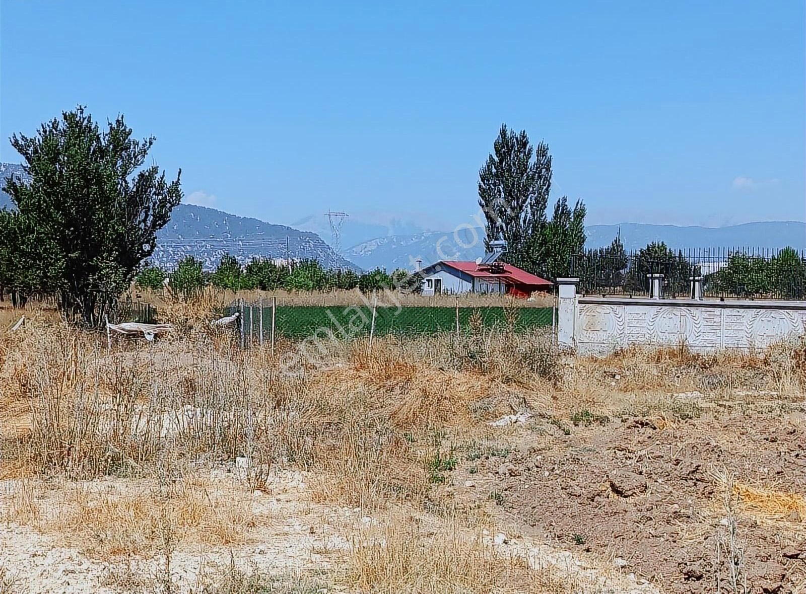 Yayla Seki Mah. Ceylan( Ana Yola Çok Yakın ) Satılık Tarla - Görsel 16