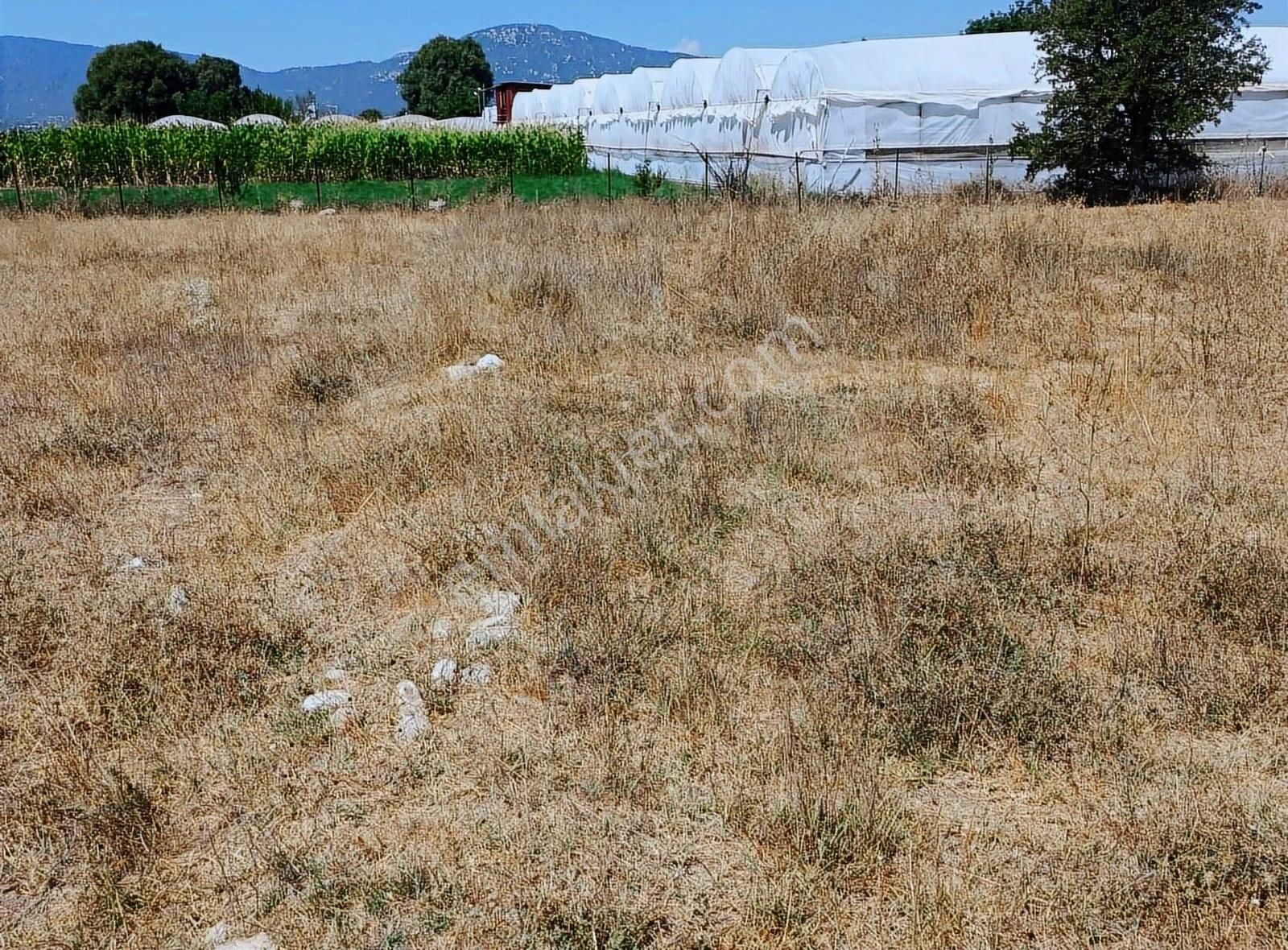 Yayla Seki Mah. Ceylan( Ana Yola Çok Yakın ) Satılık Tarla - Görsel 13