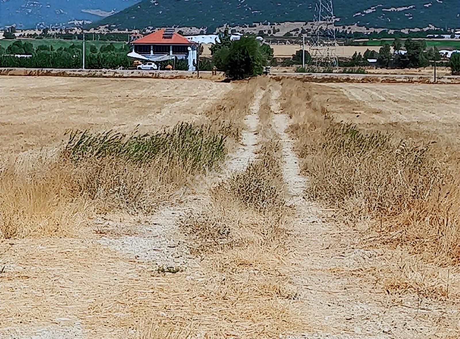 Yayla Seki Mah. Ceylan( Ana Yola Çok Yakın ) Satılık Tarla - Görsel 29