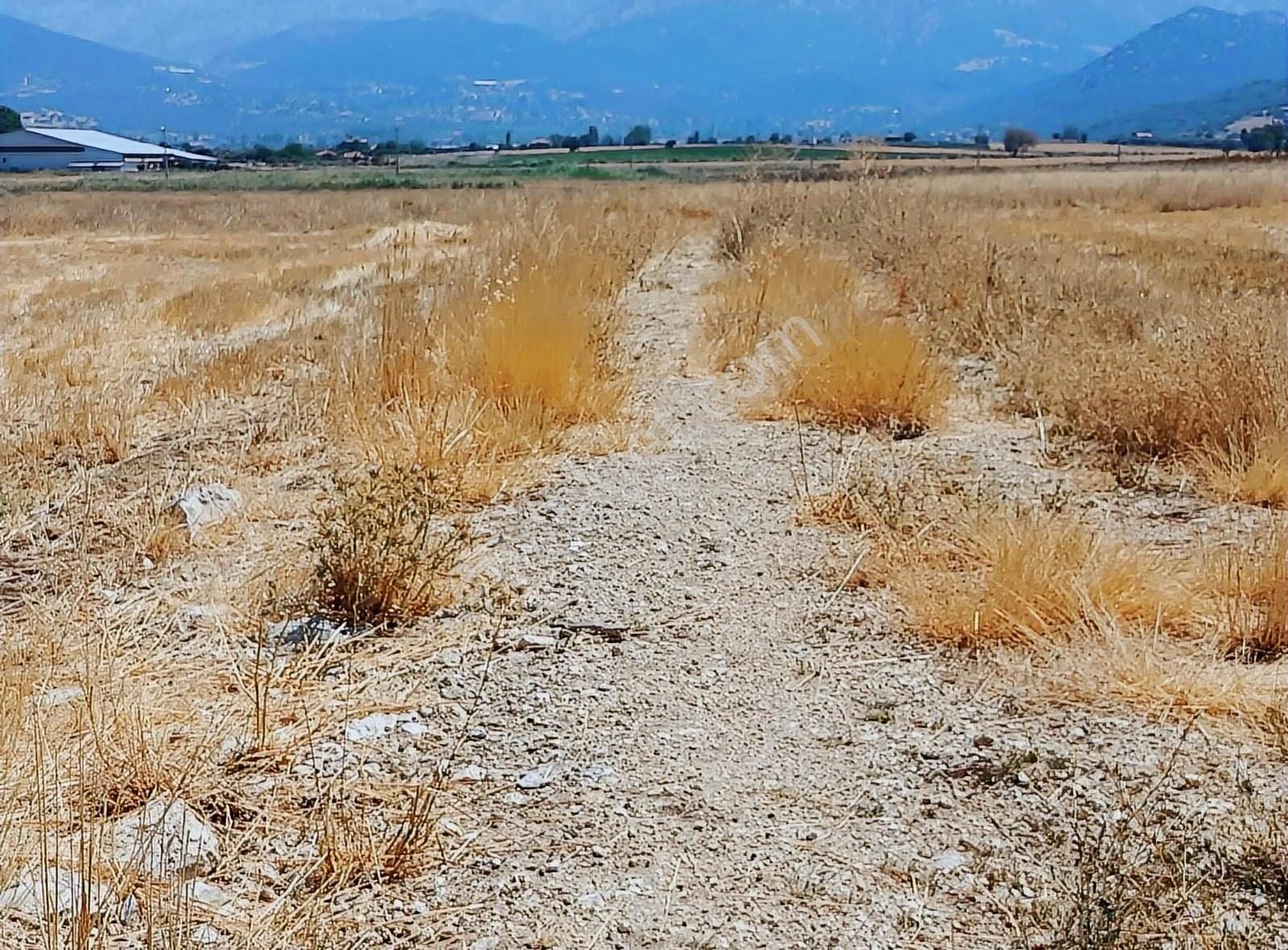 Yayla Seki Mah. Ceylan( Ana Yola Çok Yakın ) Satılık Tarla - Görsel 33