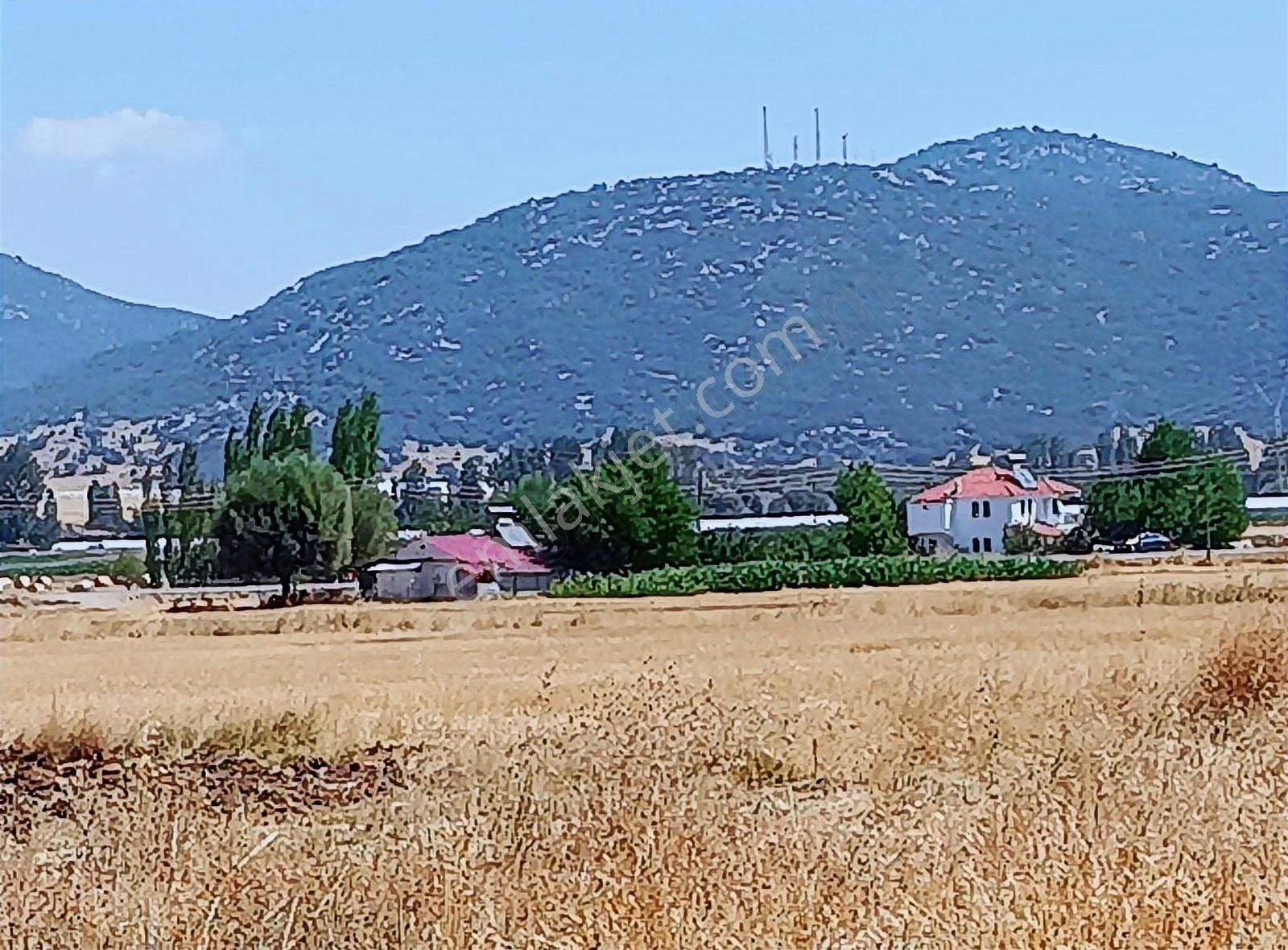 Yayla Seki Mah. Ceylan( Ana Yola Çok Yakın ) Satılık Tarla - Görsel 15