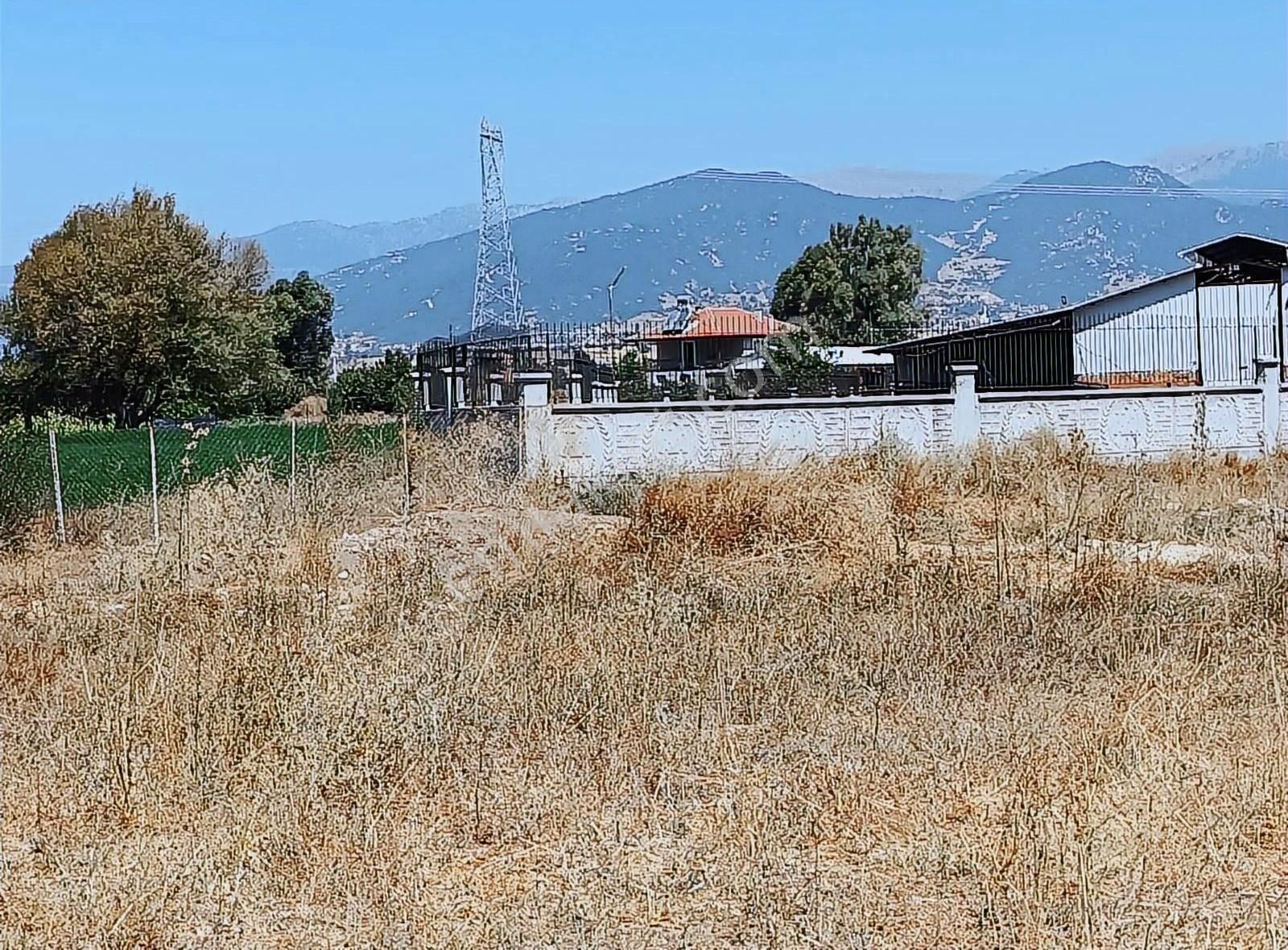 Yayla Seki Mah. Ceylan( Ana Yola Çok Yakın ) Satılık Tarla