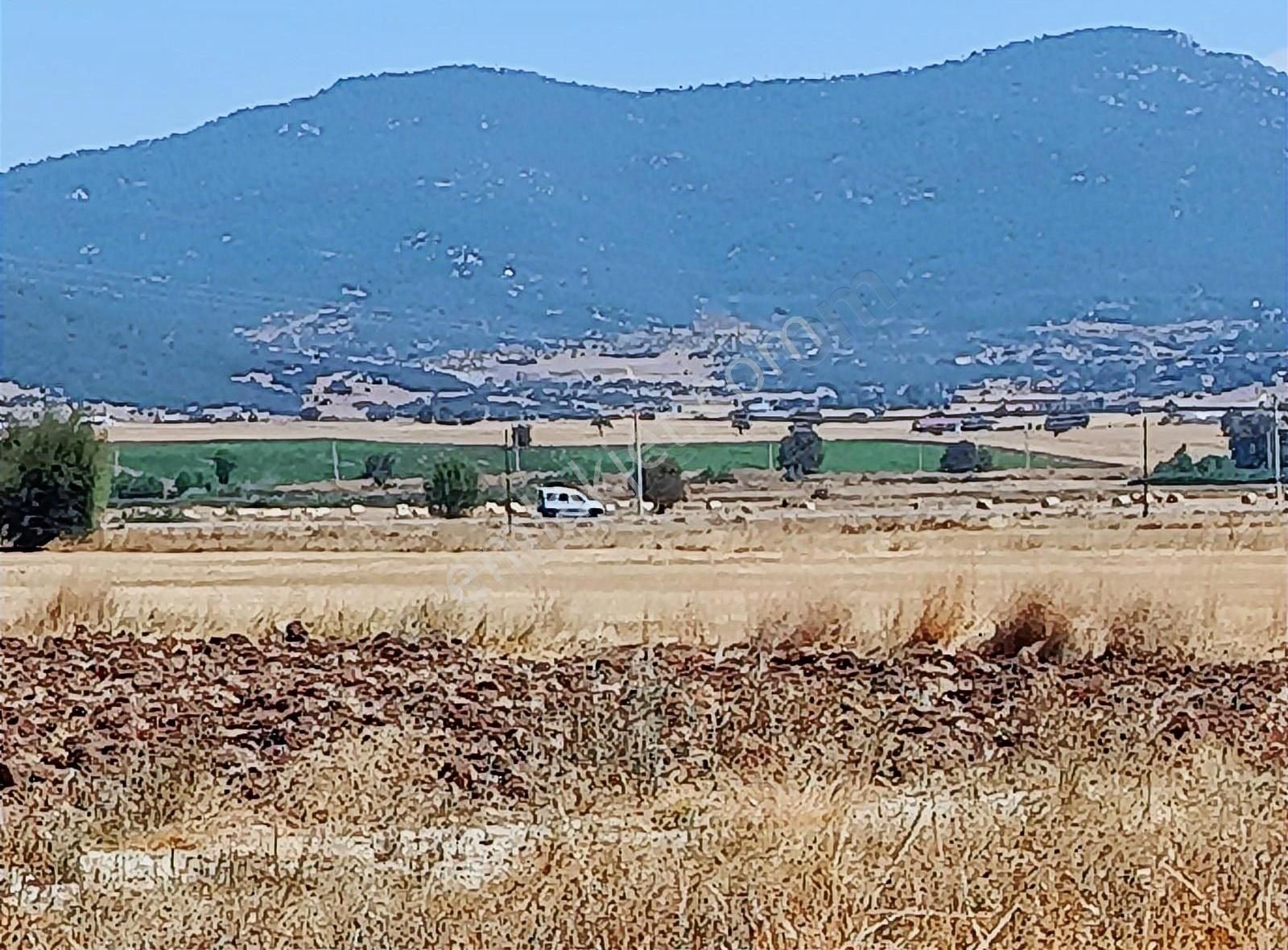 Yayla Seki Mah. Ceylan( Ana Yola Çok Yakın ) Satılık Tarla - Görsel 19