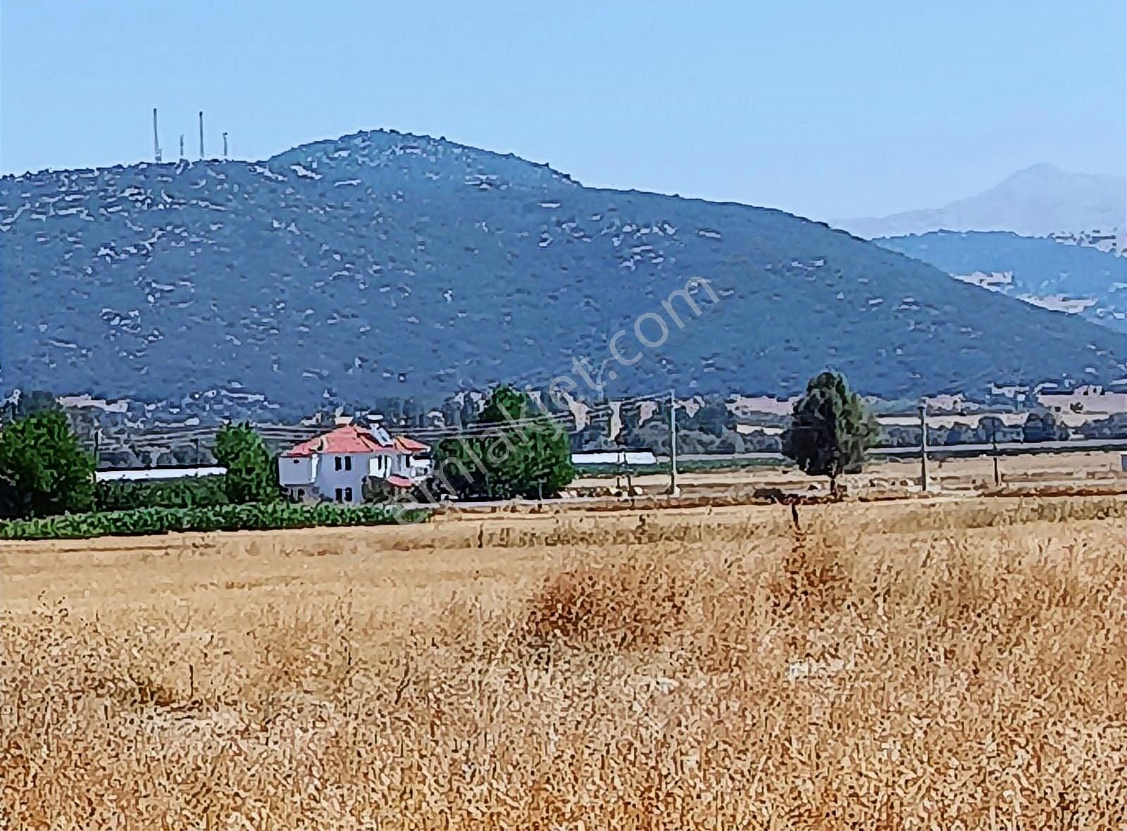 Yayla Seki Mah. Ceylan( Ana Yola Çok Yakın ) Satılık Tarla - Görsel 5