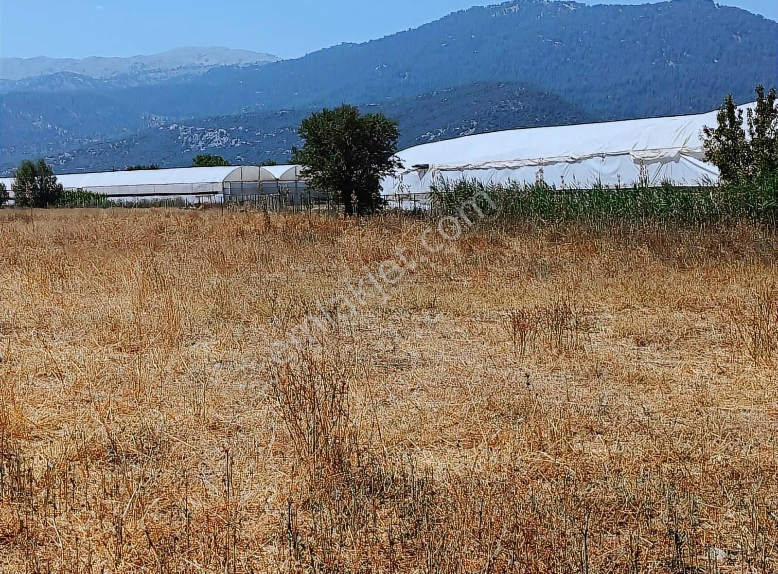 Yayla Seki Mah. Ceylan( Ana Yola Çok Yakın ) Satılık Tarla - Görsel 22