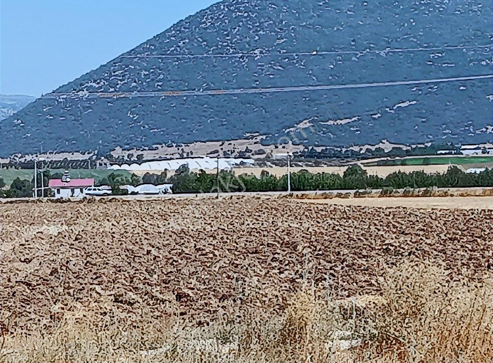 Yayla Seki Mah. Ceylan( Ana Yola Çok Yakın ) Satılık Tarla - Görsel 35