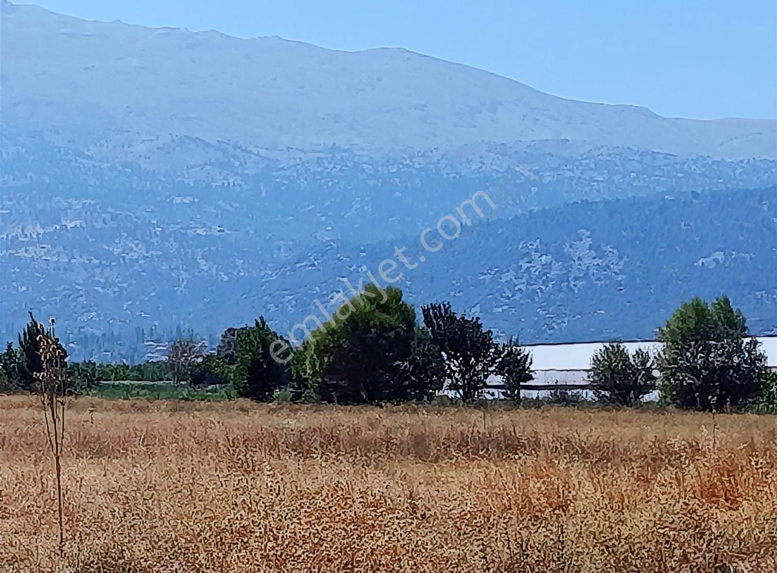 Yayla Seki Mah. Ceylan( Ana Yola Çok Yakın ) Satılık Tarla - Görsel 32