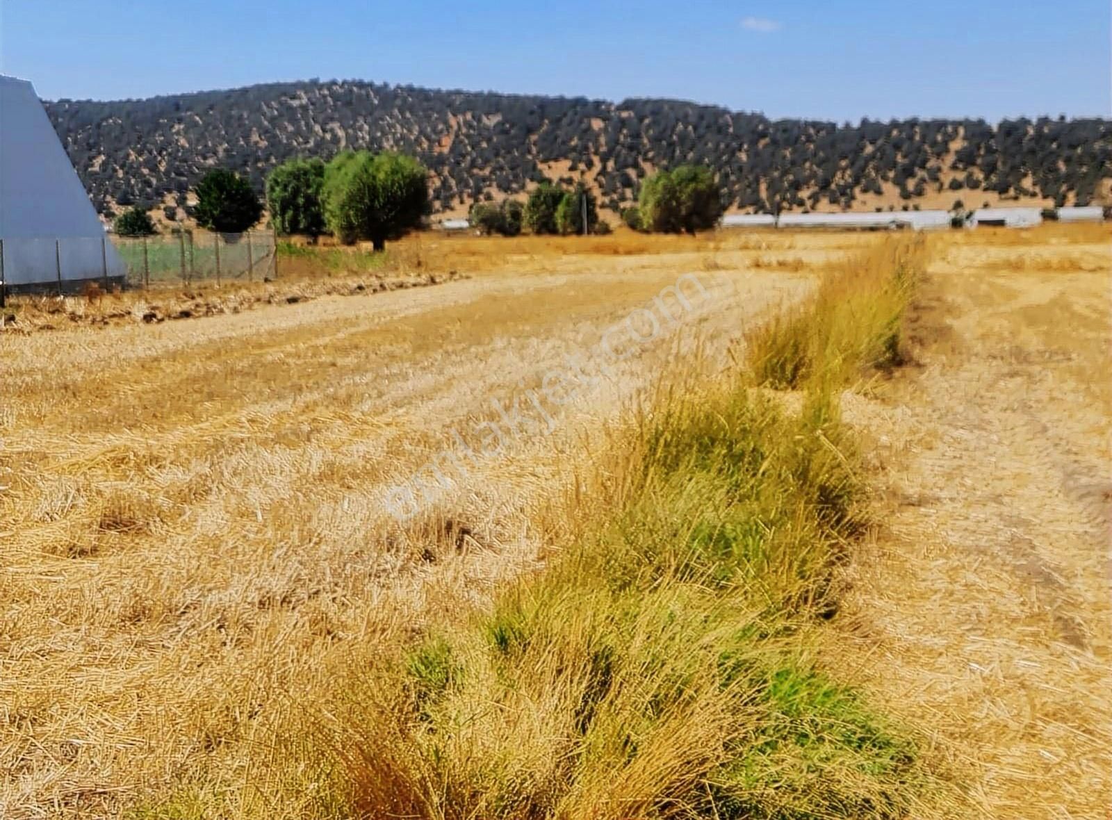 Yayla Bekçilerde 1090 M2 Satılık Tarla. - Görsel 18