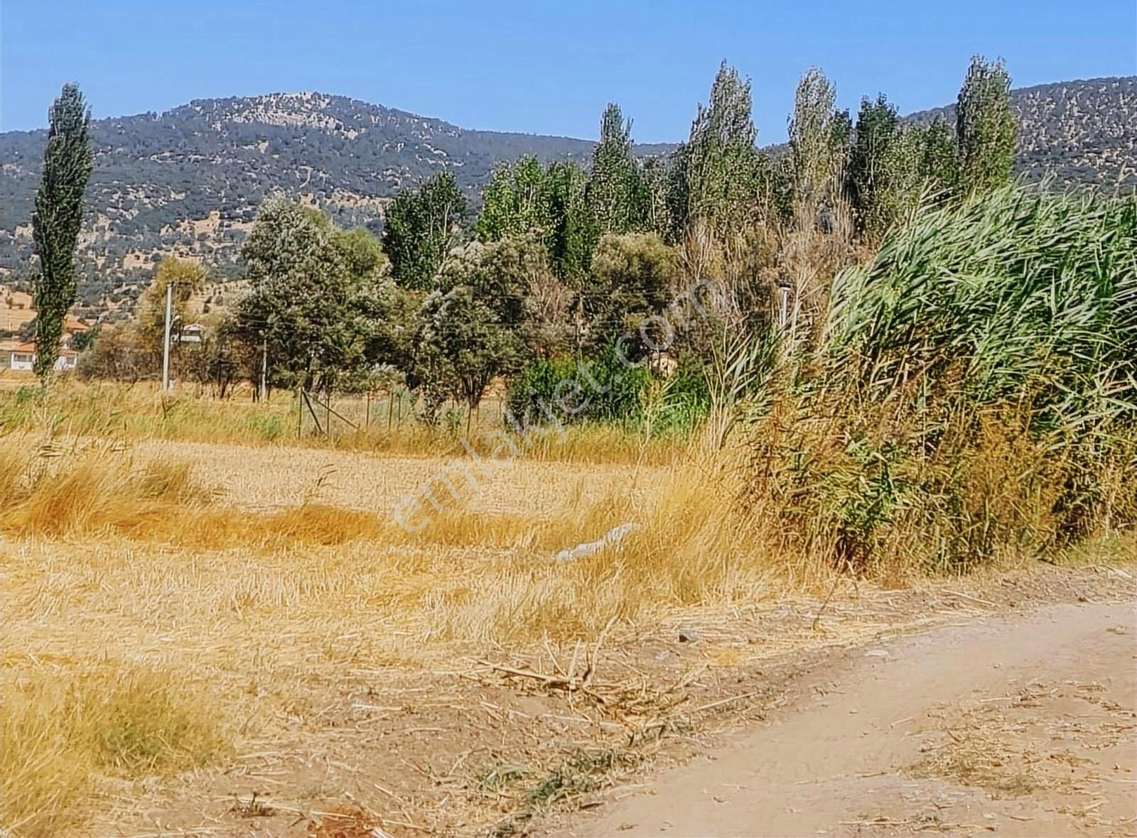 Yayla Bekçilerde 1090 M2 Satılık Tarla. - Görsel 19