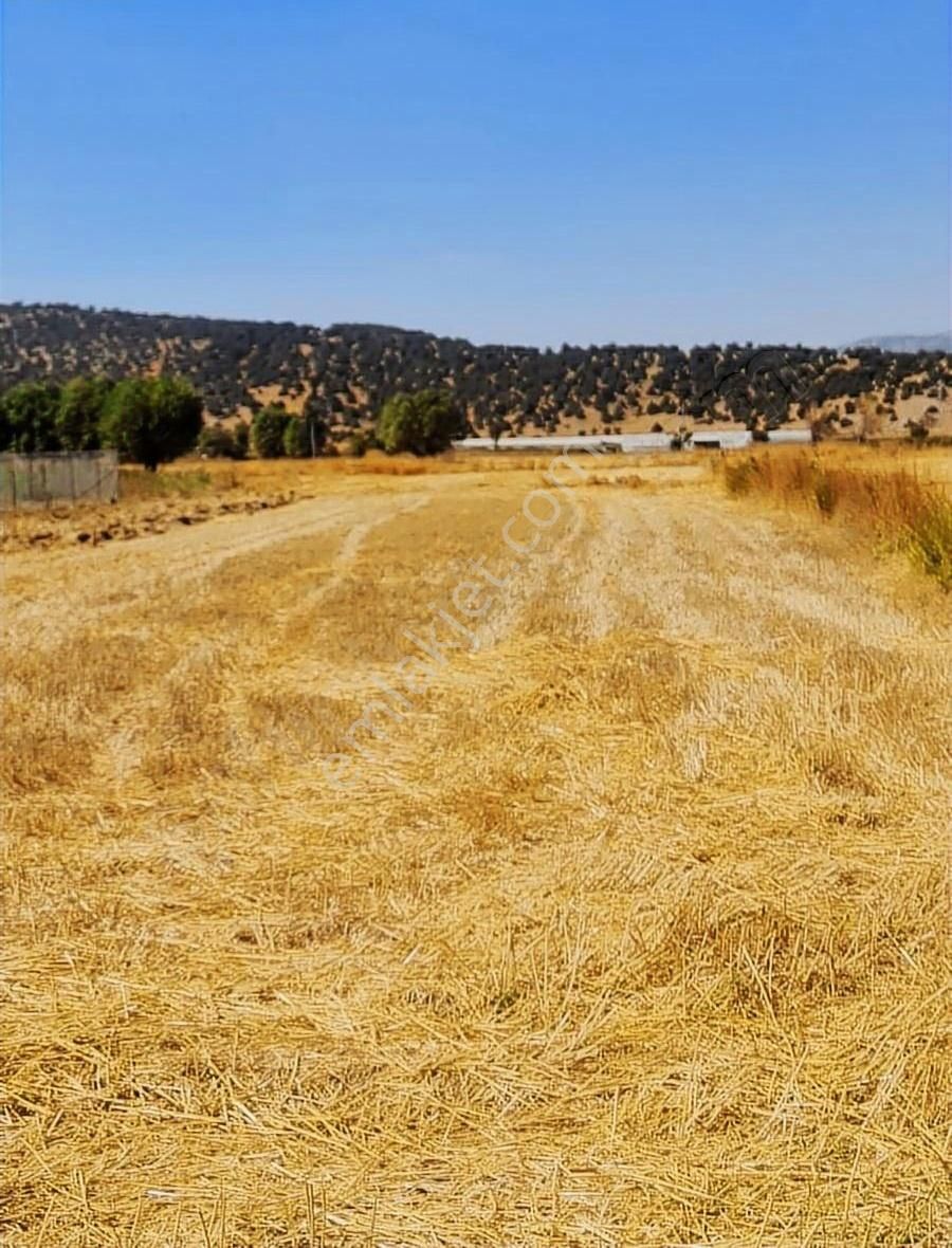 Yayla Bekçilerde 1090 M2 Satılık Tarla. - Görsel 15