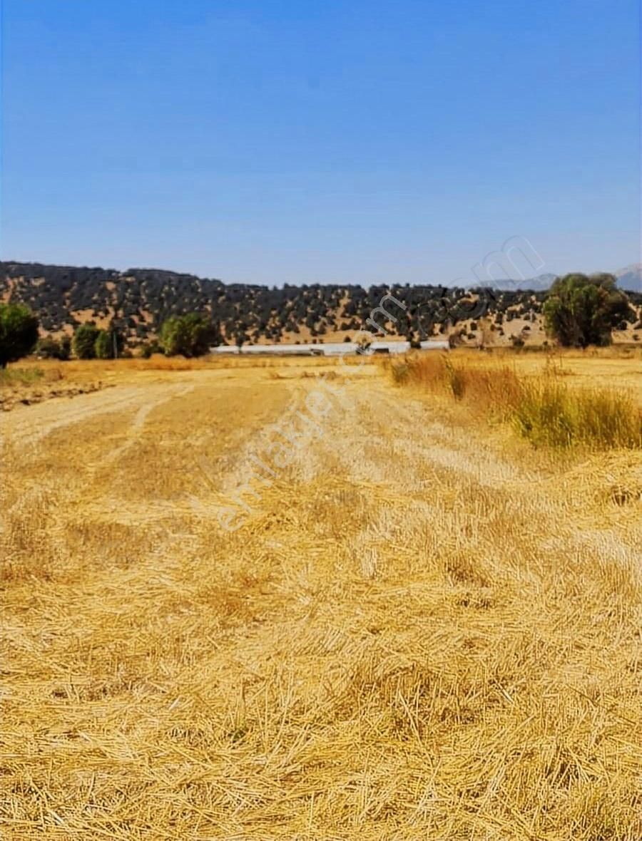 Yayla Bekçilerde 1090 M2 Satılık Tarla. - Görsel 8