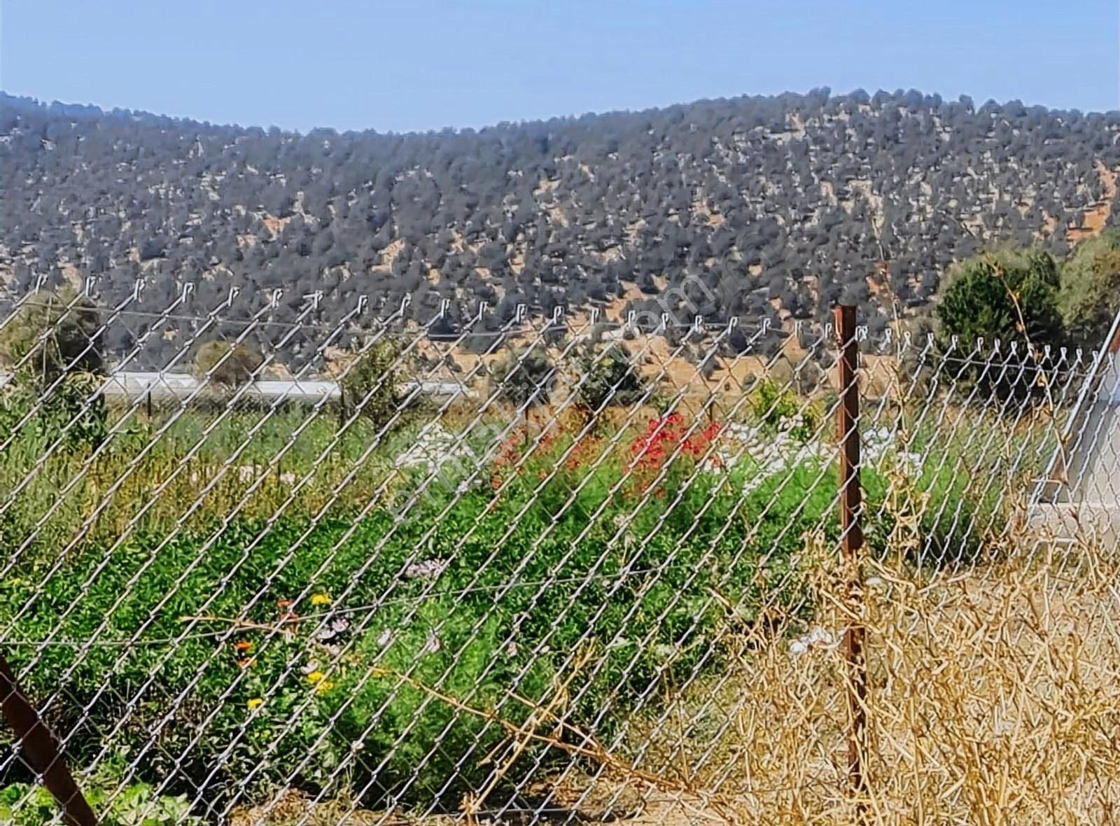 Yayla Bekçilerde 1090 M2 Satılık Tarla. - Görsel 29