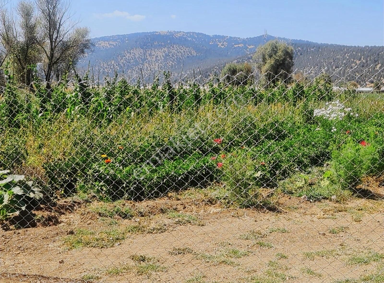 Yayla Bekçilerde 1090 M2 Satılık Tarla. - Görsel 3