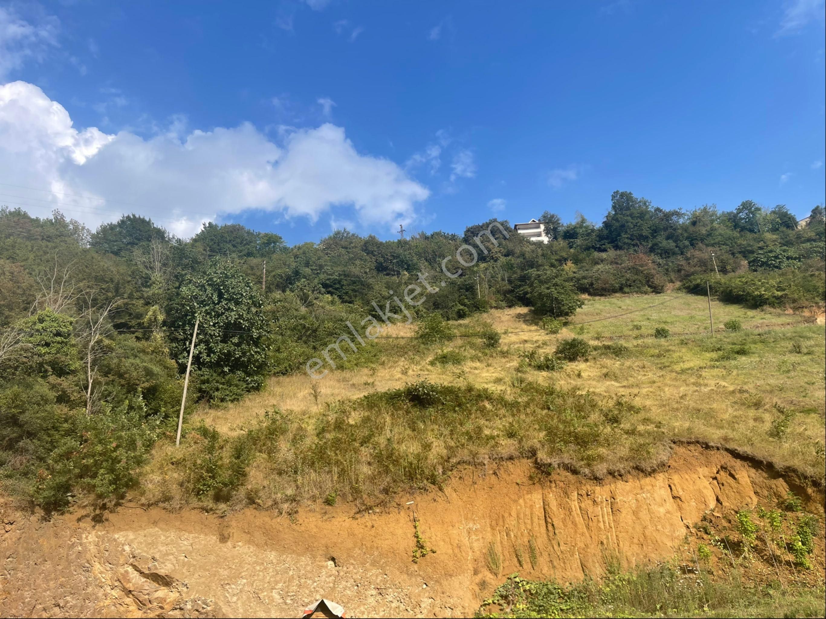 Trabzon Çağlayan'da Satılık 2 Parsel 1630 M2 Arazi - Görsel 19