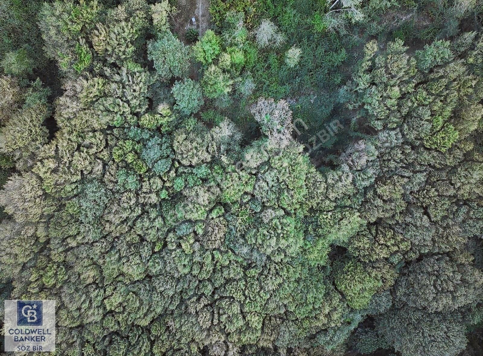 Reşadiyede Site İçi Müstakil Havuzlu 4+1 Satılık Villa - Görsel 10