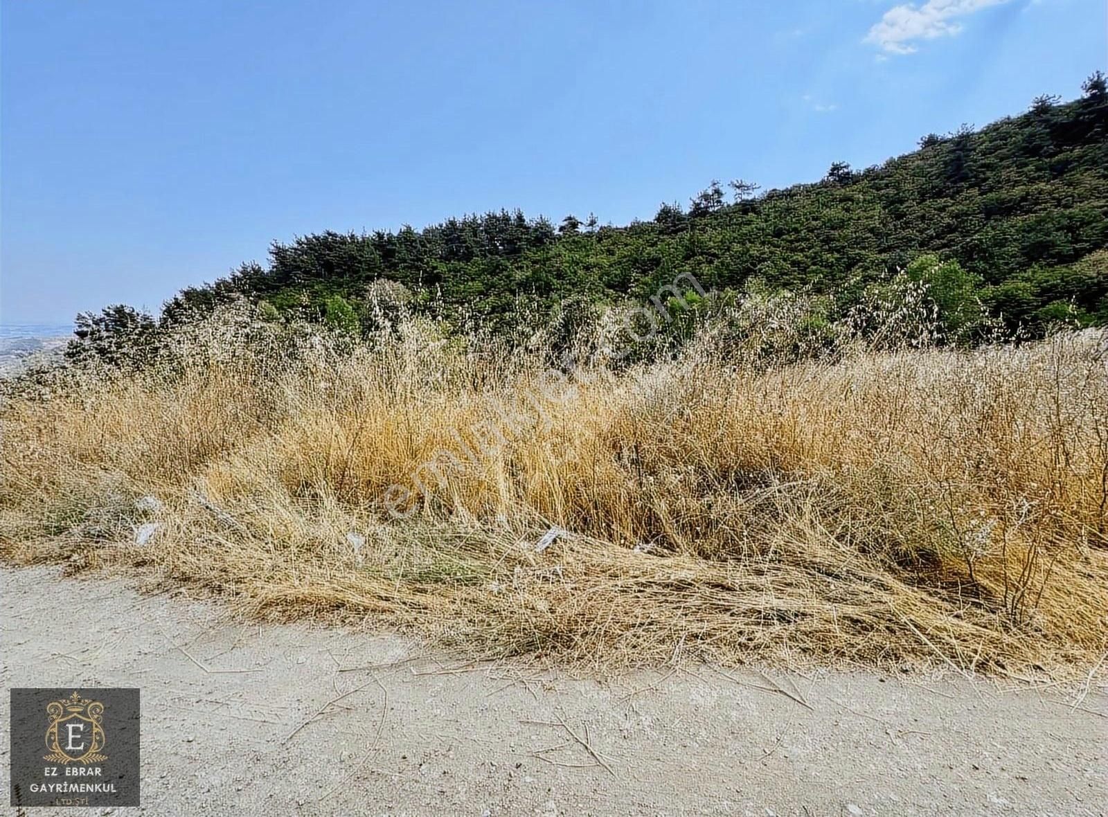 Mudanya Çepni Mahallesinde Yatırımlık Arazi - Görsel 6