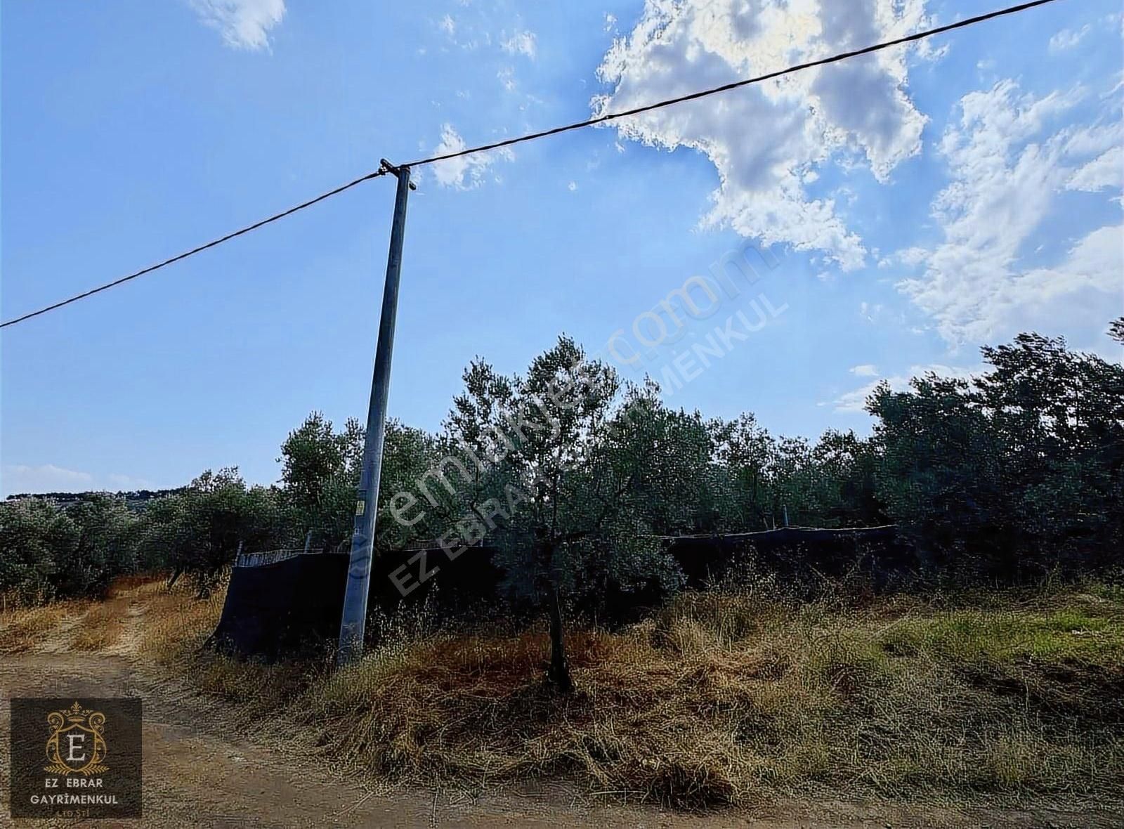 Mudanya Çepni Mahallesinde 268 M2 Bahçe - Görsel 12