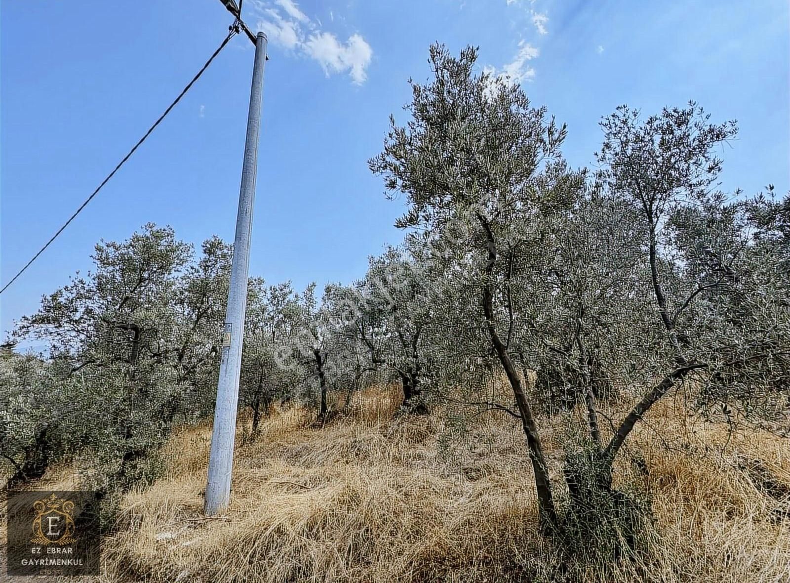 Mudanya Çepni Mahallesinde 268 M2 Bahçe - Görsel 16