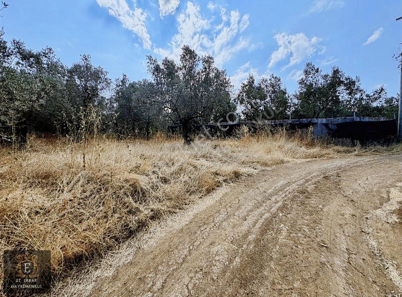 Mudanya Çepni Mahallesinde 268 M2 Bahçe - Görsel 11