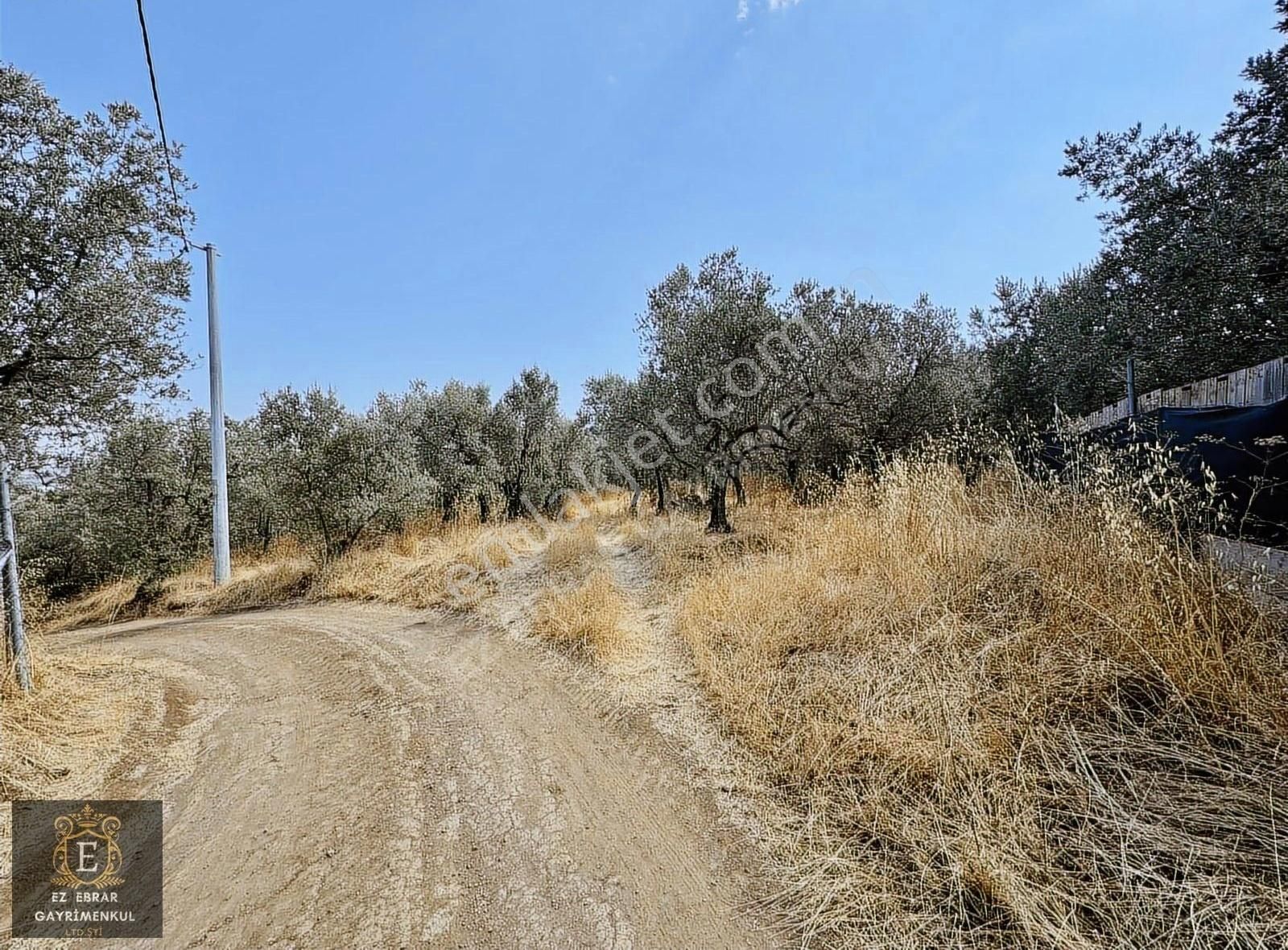 Mudanya Çepni Mahallesinde 268 M2 Bahçe - Görsel 5