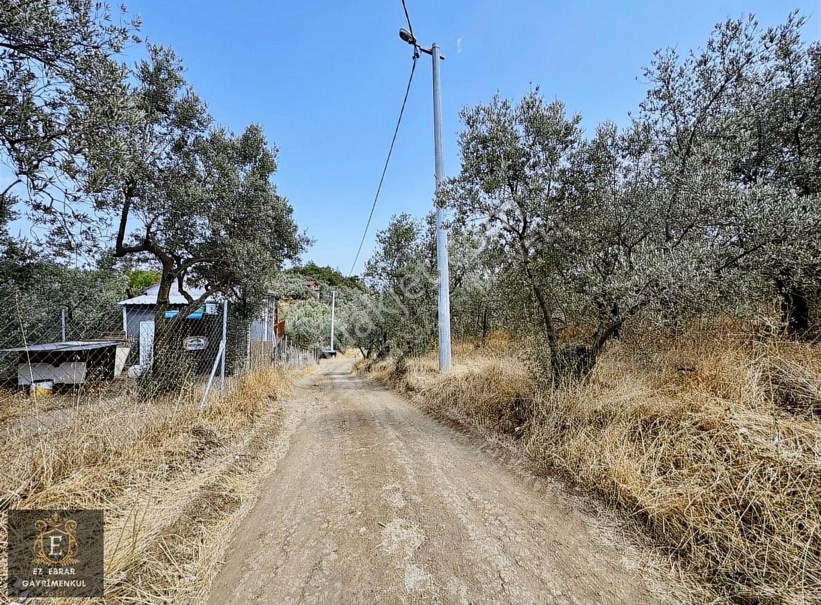 Mudanya Çepni Mahallesinde 268 M2 Bahçe - Görsel 6