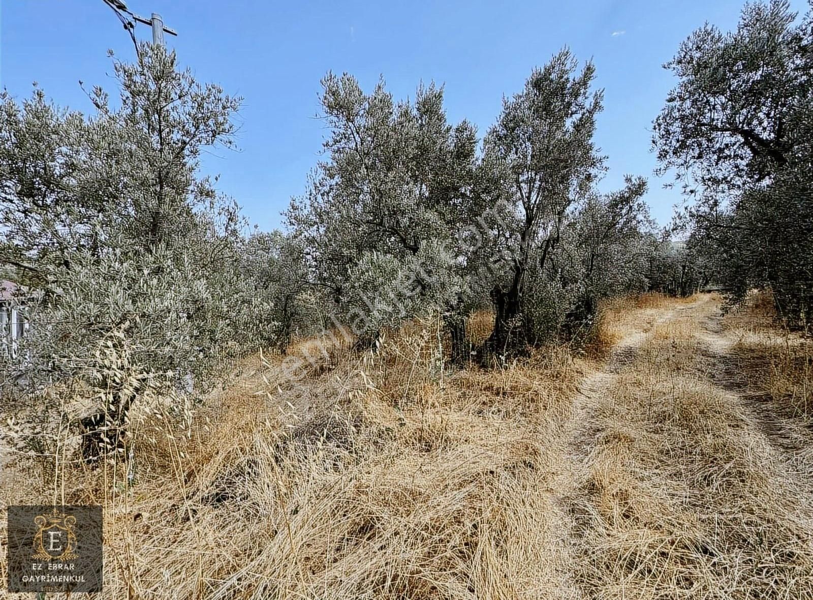 Mudanya Çepni Mahallesinde 268 M2 Bahçe - Görsel 14