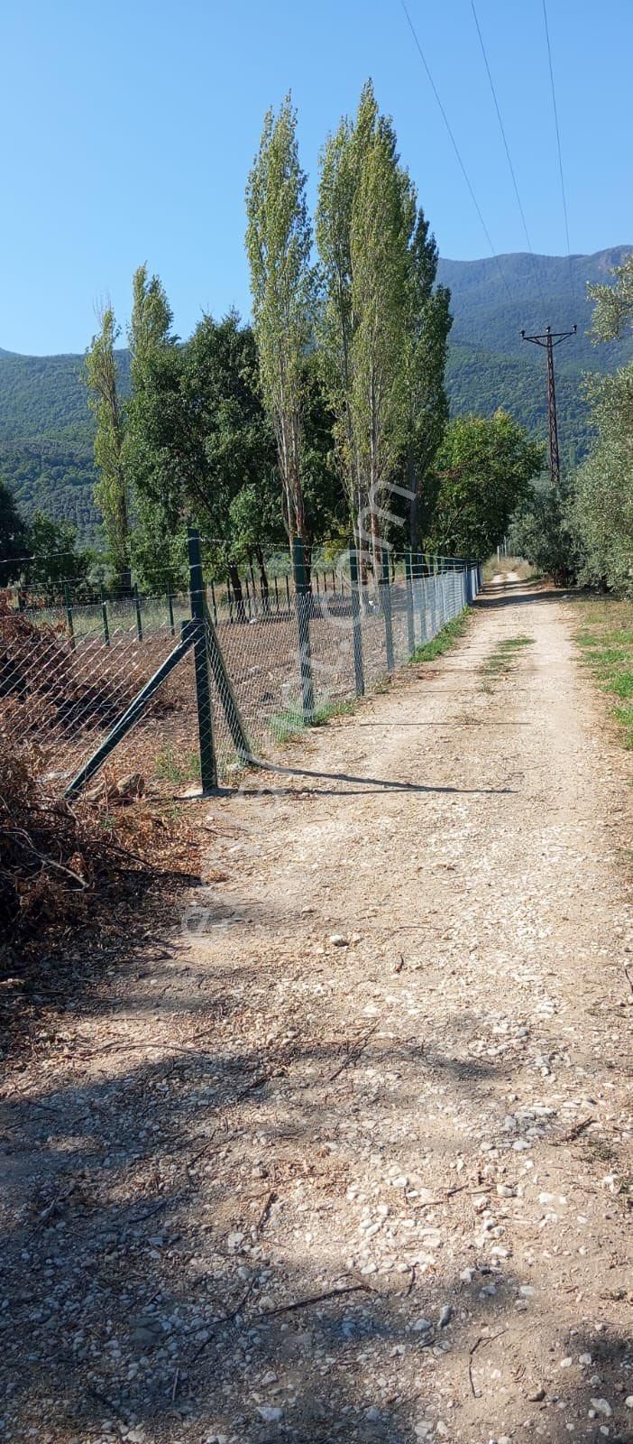 Beka Gayrimenkul'den Akharem Köyünde Resmi Yol Cepheli 847 M² Tarla - Görsel 9