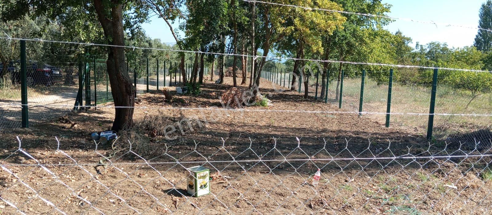 Beka Gayrimenkul'den Akharem Köyünde Resmi Yol Cepheli 847 M² Tarla - Görsel 4