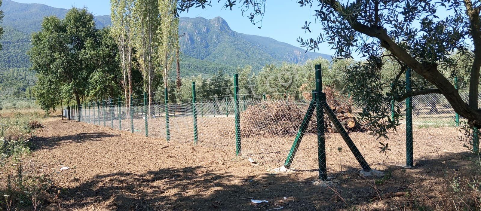 Beka Gayrimenkul'den Akharem Köyünde Resmi Yol Cepheli 847 M² Tarla - Görsel 8