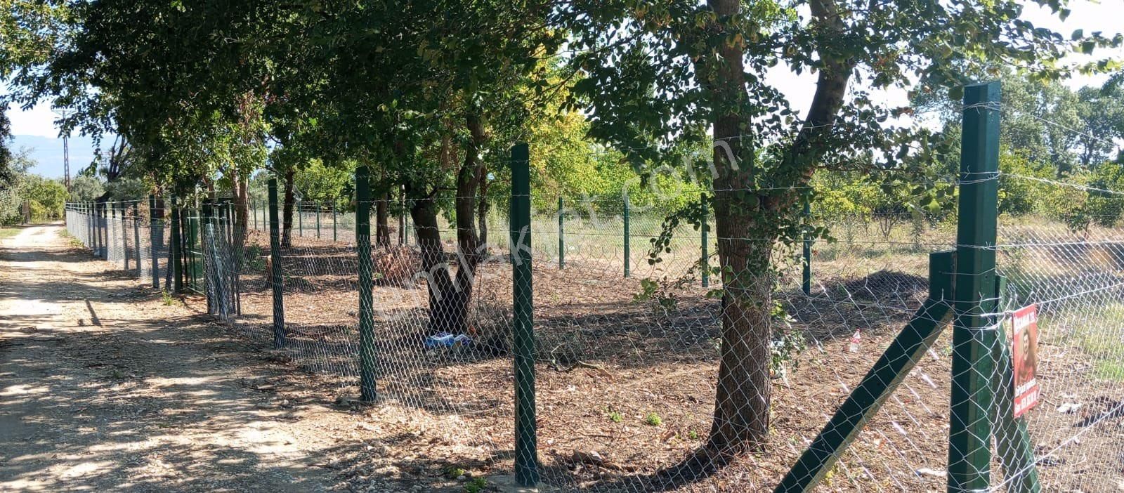 Beka Gayrimenkul'den Akharem Köyünde Resmi Yol Cepheli 847 M² Tarla - Görsel 2