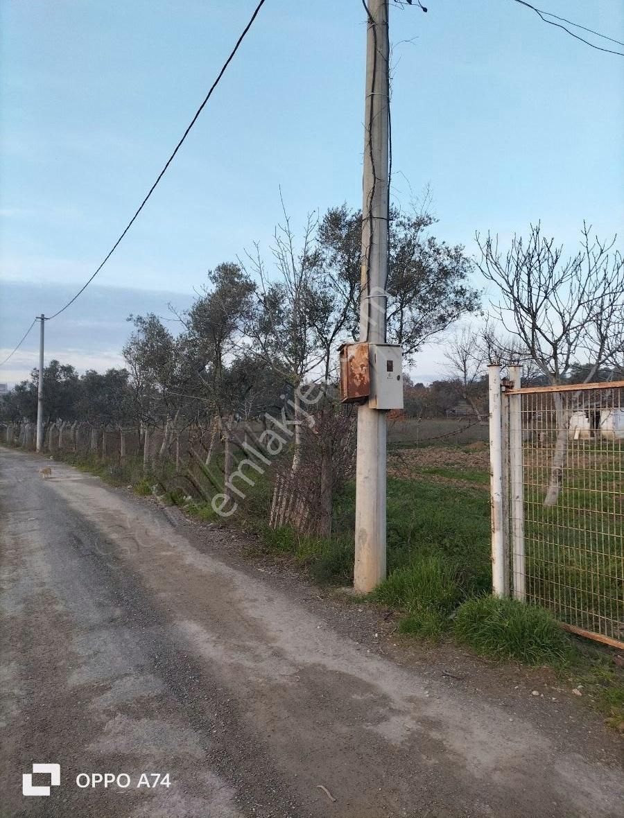 Bursa Emlak Alem-iarapzade De 2.094 M2 İmar Planı İçinde Satılık - Görsel 2