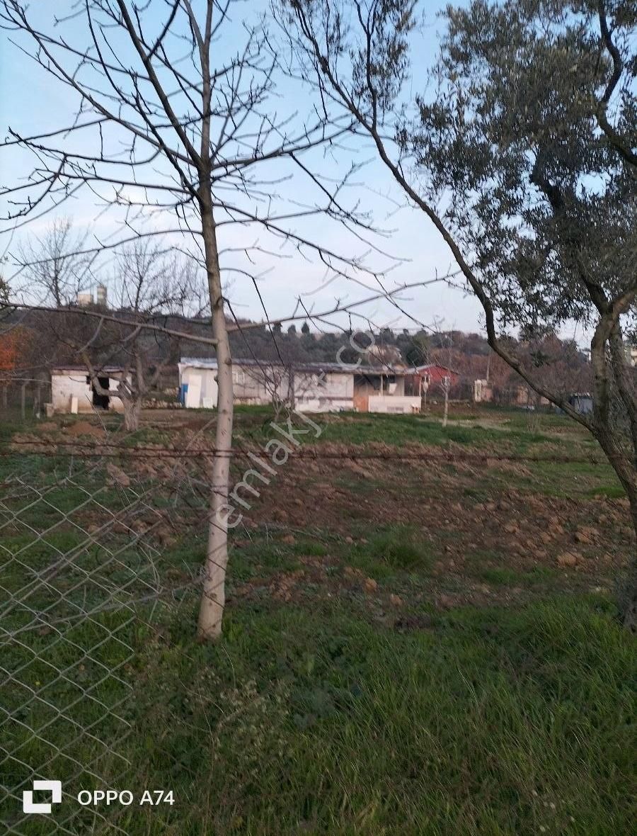 Bursa Emlak Alem-iarapzade De 2.094 M2 İmar Planı İçinde Satılık - Görsel 4