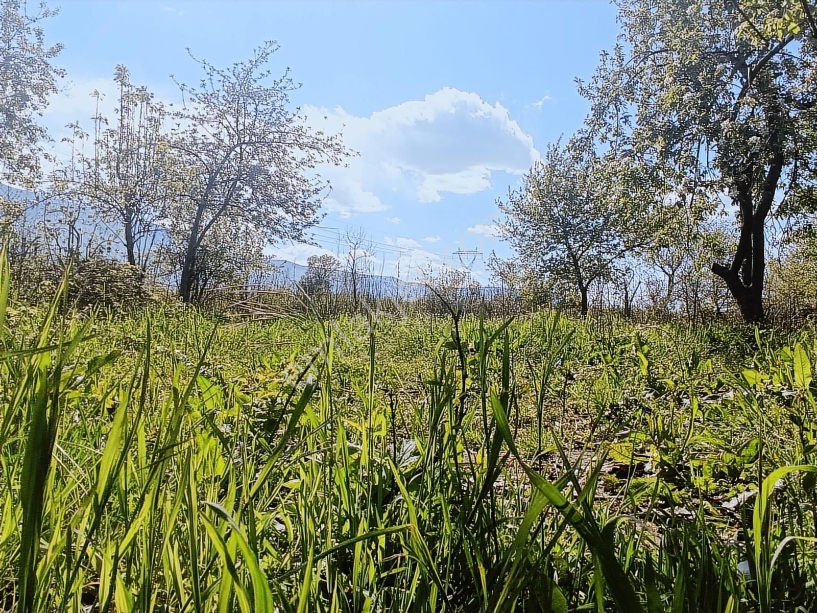 Yıldırım Vakıf'ta İmara Yakın Satılık Parsel (755 M²)