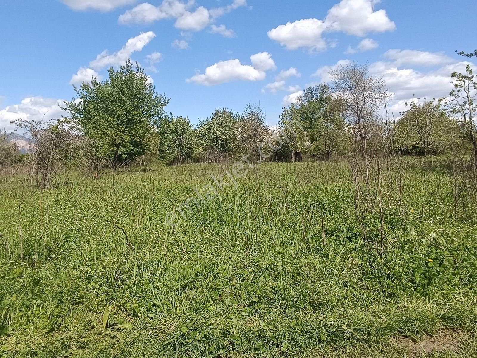 Yıldırım Vakıf'ta İmara Yakın Satılık Parsel (755 M²) - Görsel 4