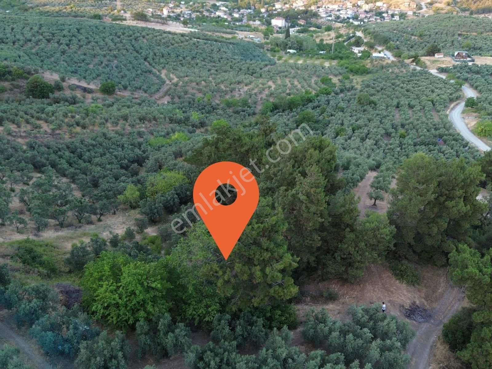 Mudanya Dereköyde Satılık Tek Tapu Köye Yakın Arazi - Görsel 5