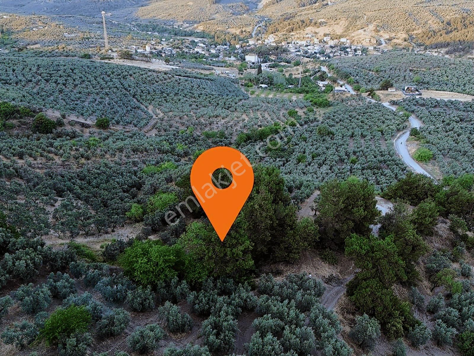 Mudanya Dereköyde Satılık Tek Tapu Köye Yakın Arazi