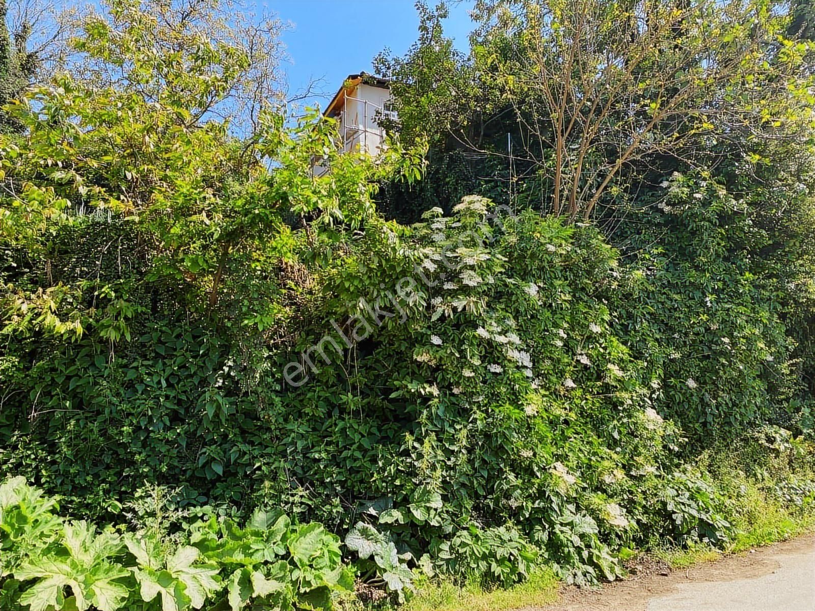 Yiğitalide Bursa Manzaralı Satılık Köy İçi Bahçe - Görsel 6