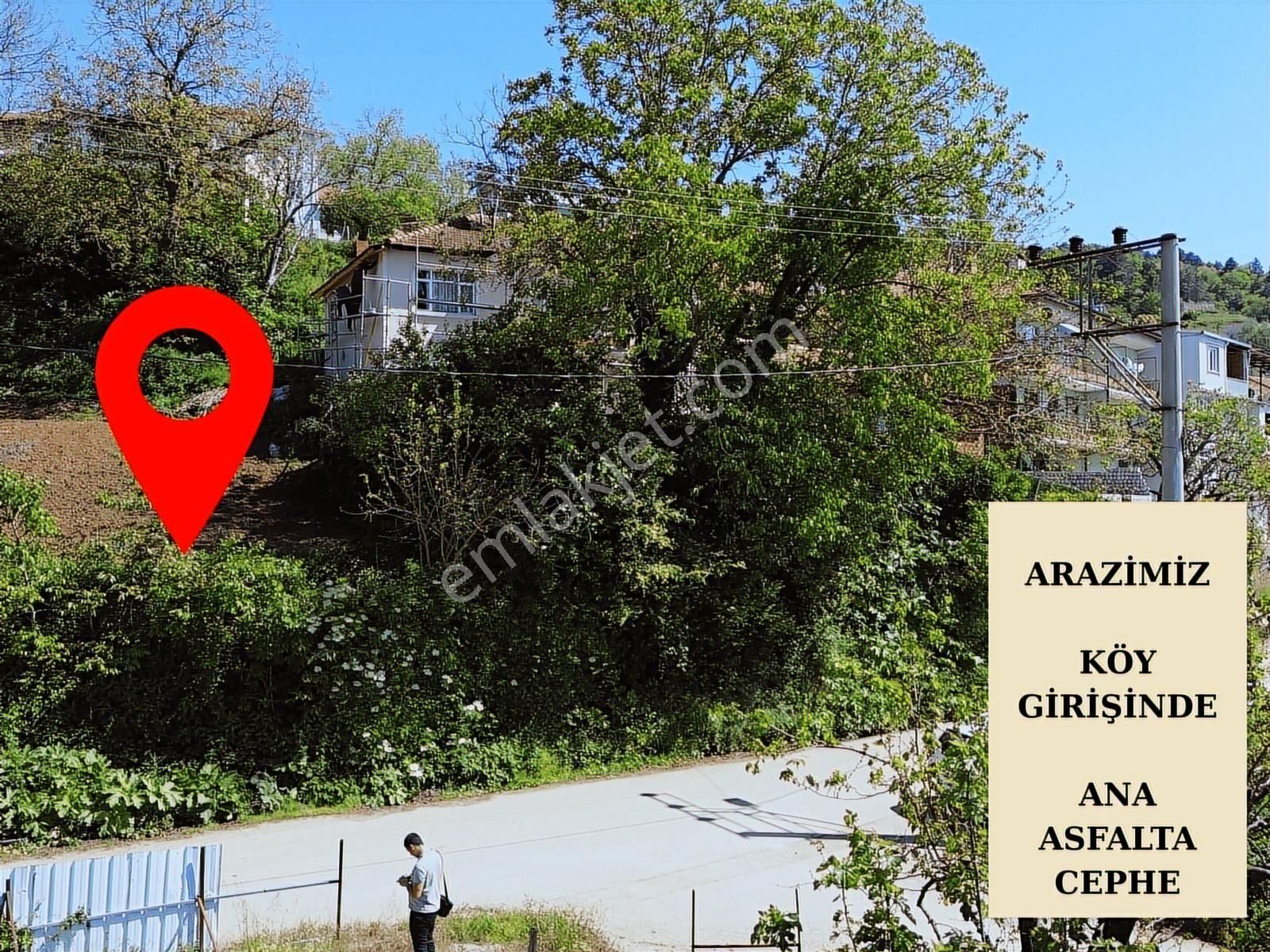 Yiğitalide Bursa Manzaralı Satılık Köy İçi Bahçe - Görsel 13
