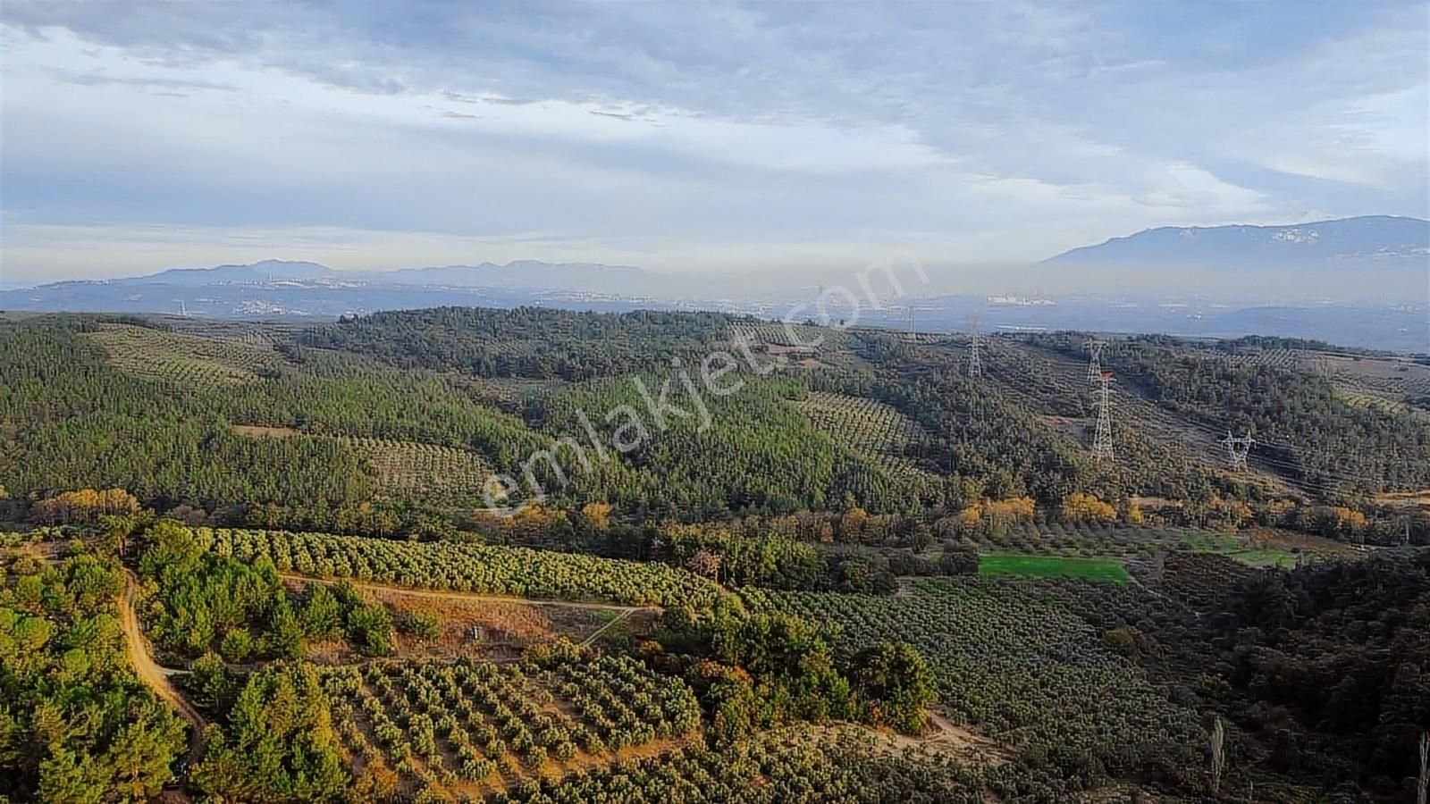 Mudanya Yaylacıkta 1800 M2 Yatırıma Uygun Arazi - Görsel 6