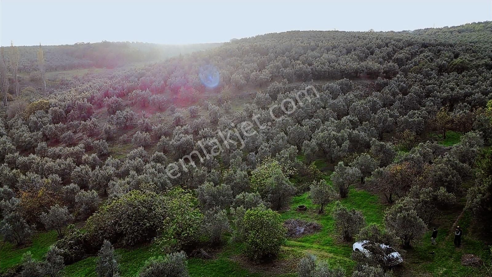 Mudanya Yaylacıkta 1800 M2 Yatırıma Uygun Arazi - Görsel 3
