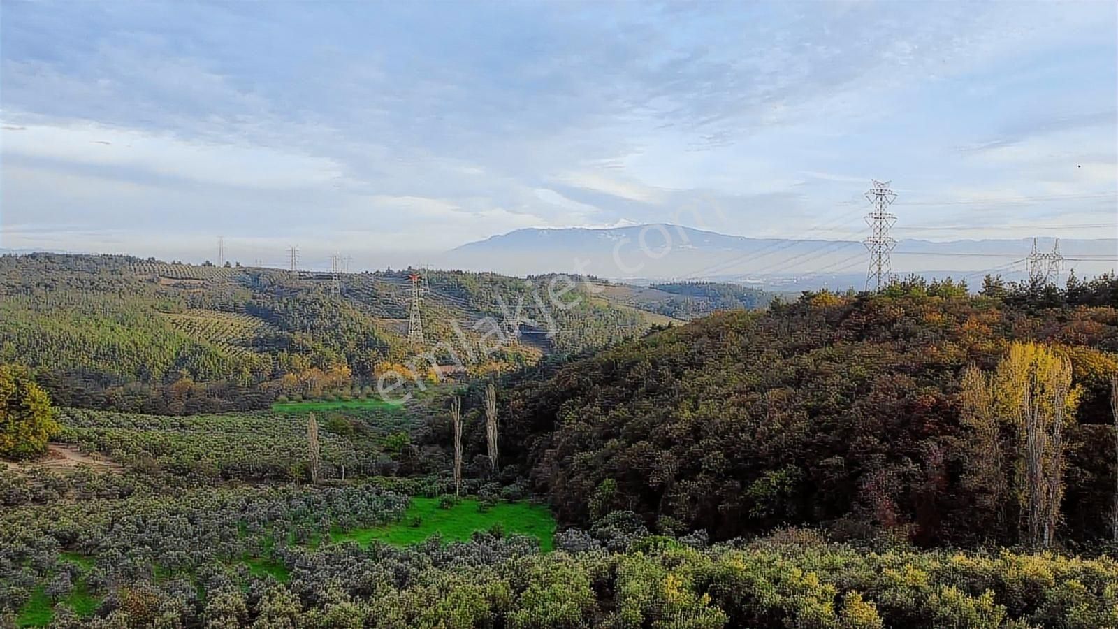 Mudanya Yaylacıkta 1800 M2 Yatırıma Uygun Arazi