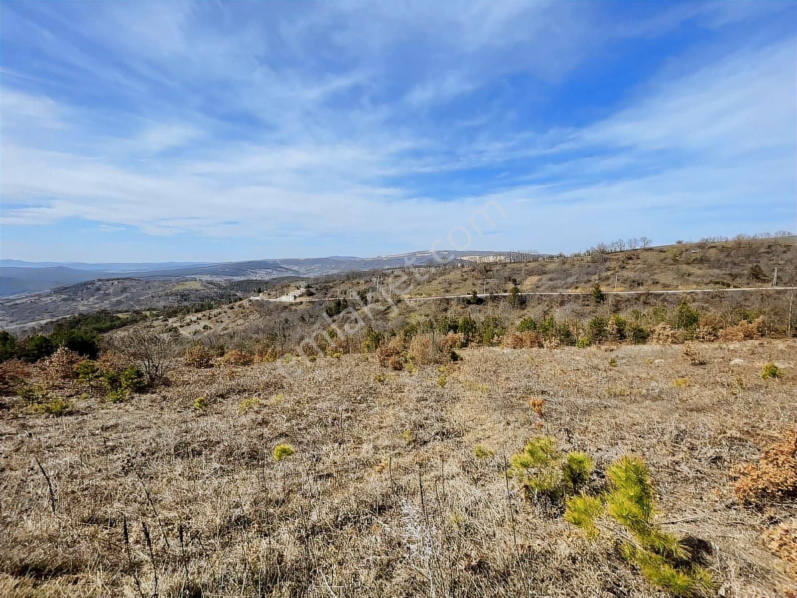 Orhaneli Göktepe'de Satılık 563 M2 Tarla