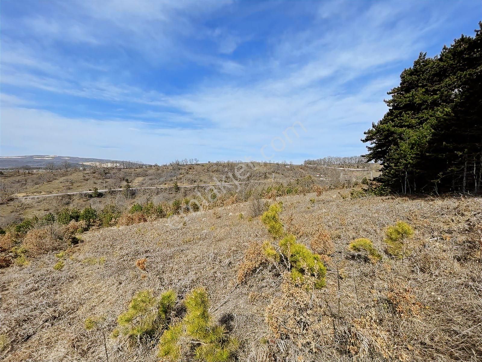 Orhaneli Göktepe'de Satılık 563 M2 Tarla - Görsel 5