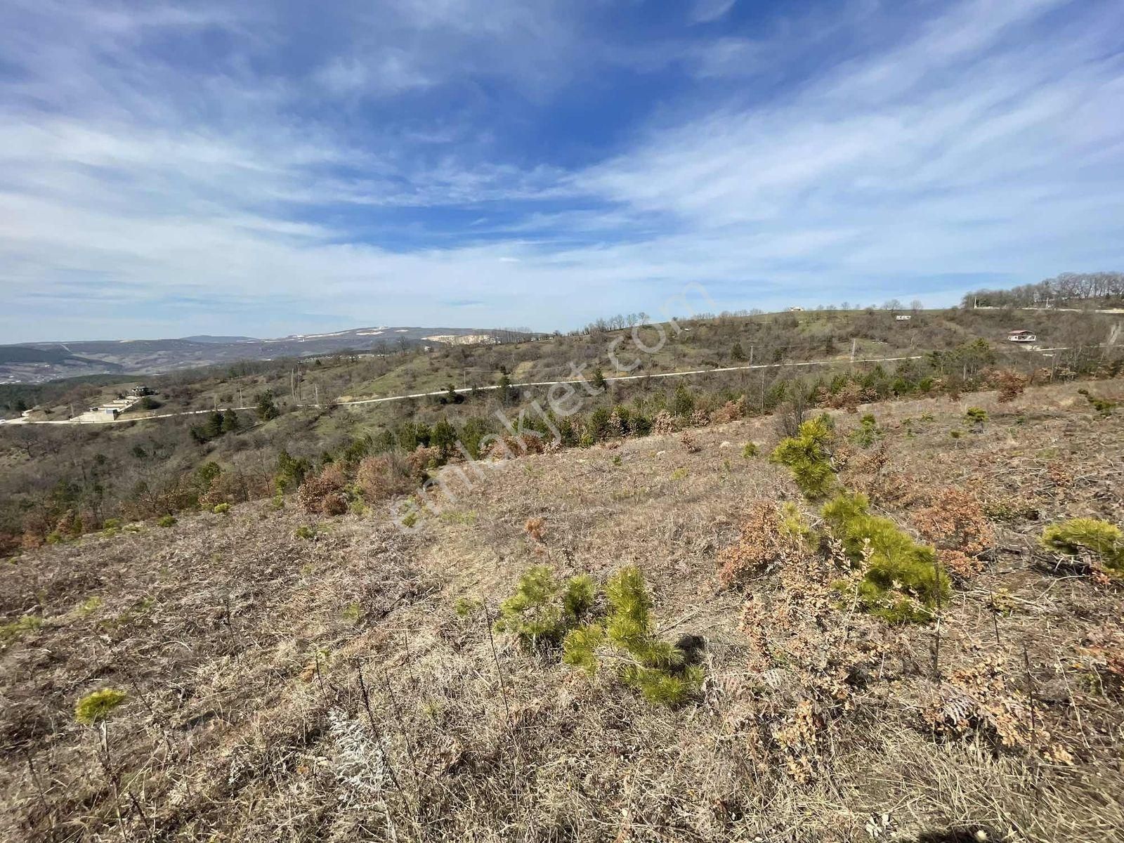 Orhaneli Göktepe'de Satılık 563 M2 Tarla - Görsel 3