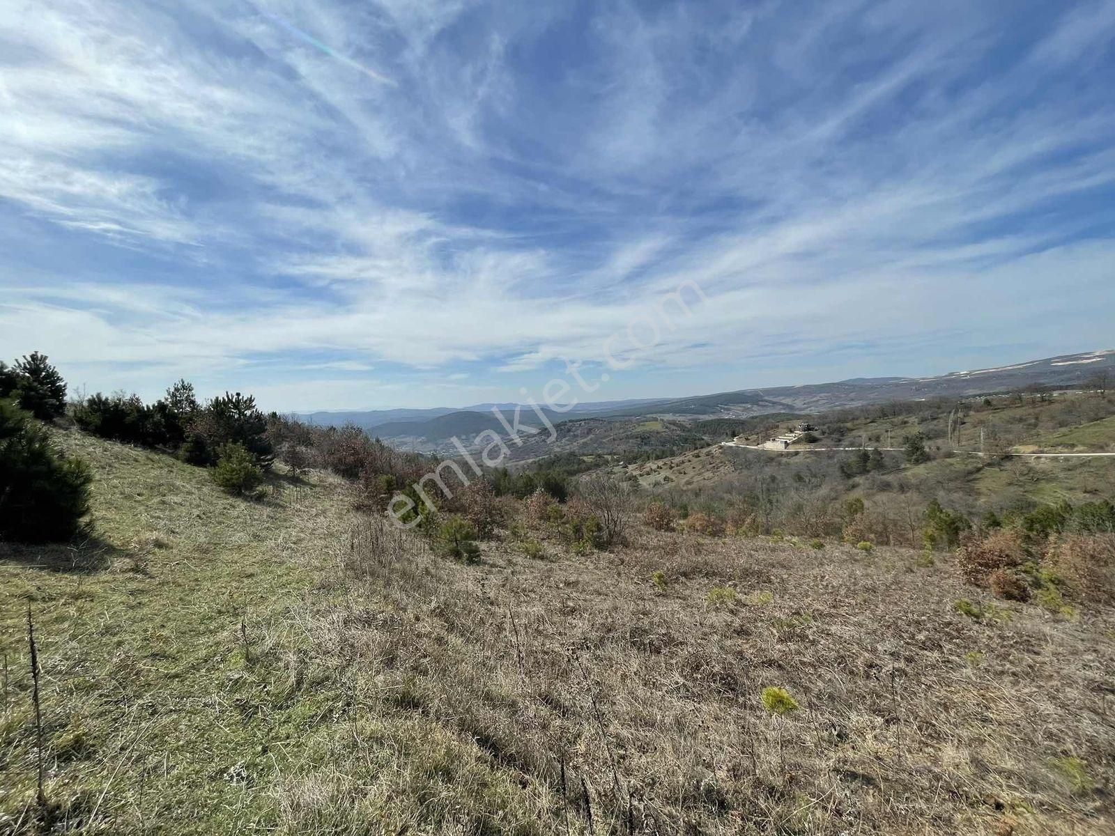 Orhaneli Göktepe'de Satılık 563 M2 Tarla - Görsel 2