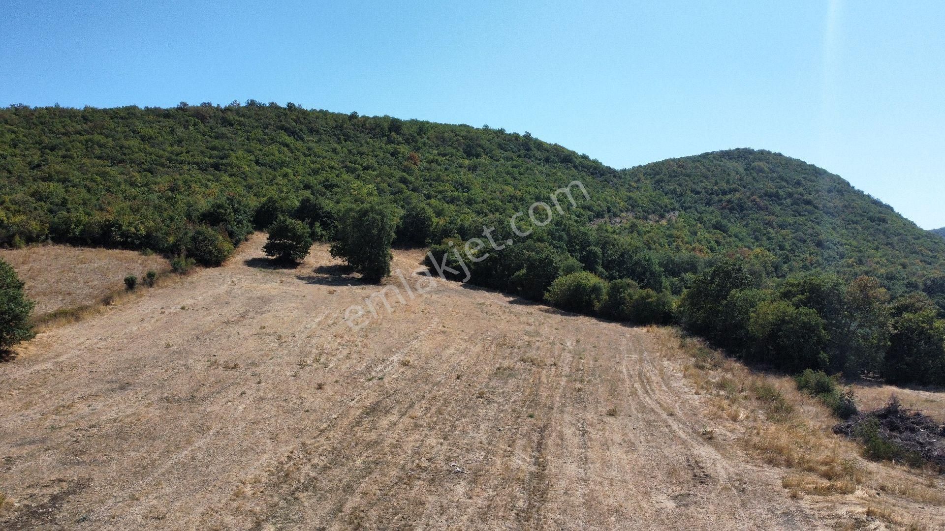 Bursa Nilüfer Akçalar'da Göl Manzaralı Satılık Yatırımlık Arazi - Görsel 15